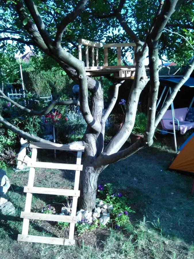 Apartmani Nado Majica Sveti Filip i Jakov Exterior foto